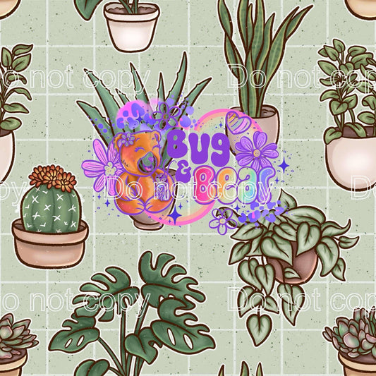 House plants green